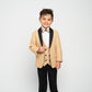 Boy's Gold Modern Sequin Tuxedo Set
